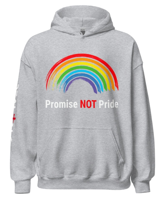 Promise Not Pride - Hoodie